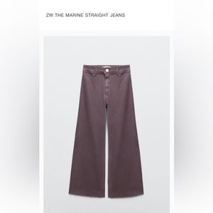 Zara Marine Pant Sz 6 Eggplant colour